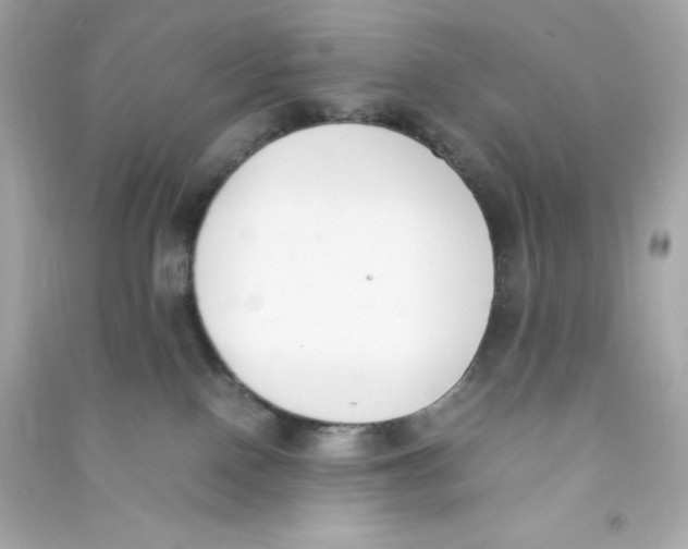 X0000090410090200708101929