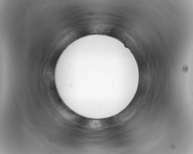 X0000090410091200708101929