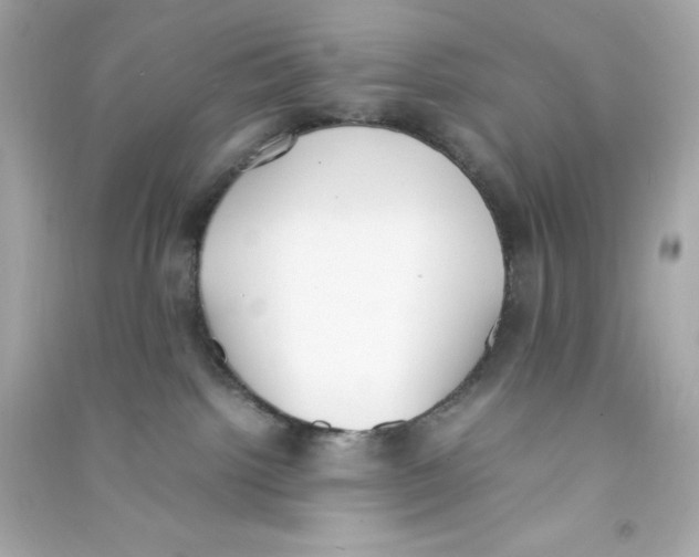 X0000090410092200708101929