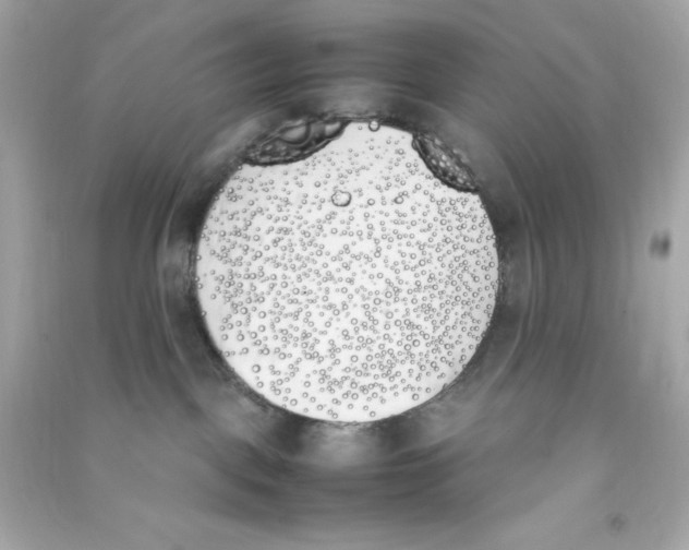 X0000090410093200708101929