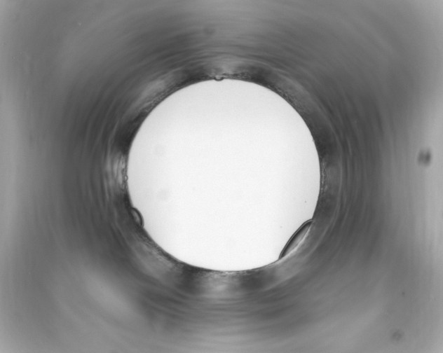 X0000090410094200708101929