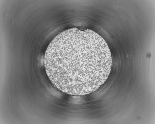 X0000090410095200708101929