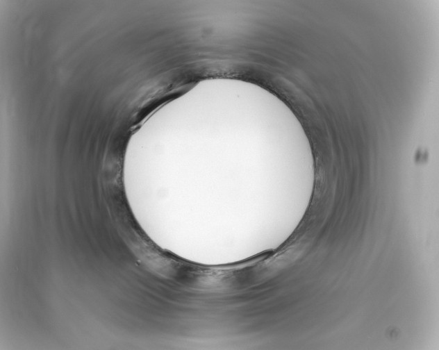 X0000090410096200708101929