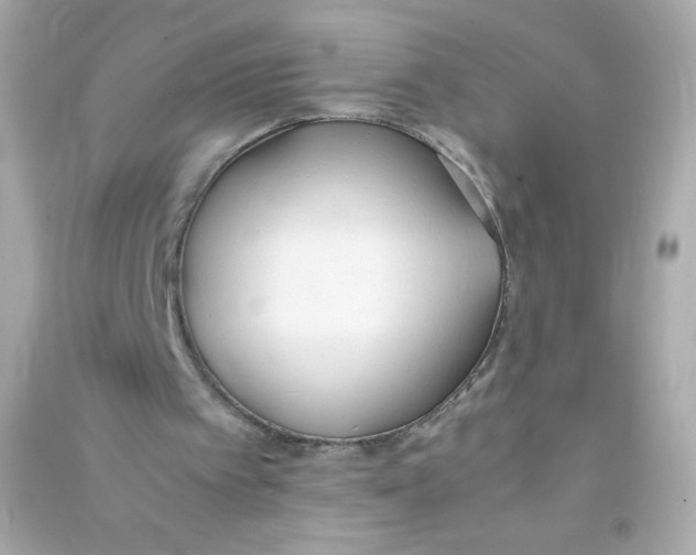 X0000090410097200708101929