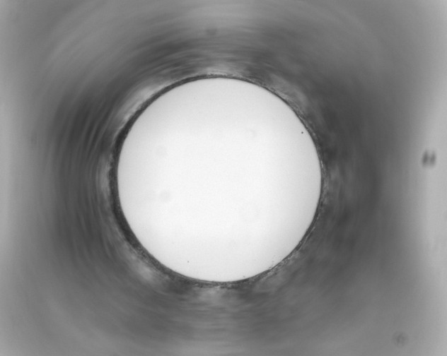 X0000090410098200708101928