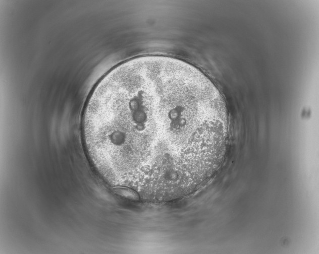 X0000090410099200708101928