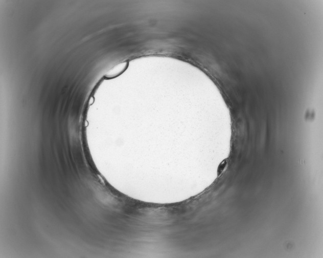 X0000090410100200708101928