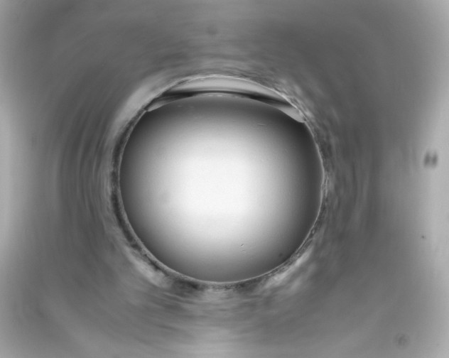 X0000090410101200708101928