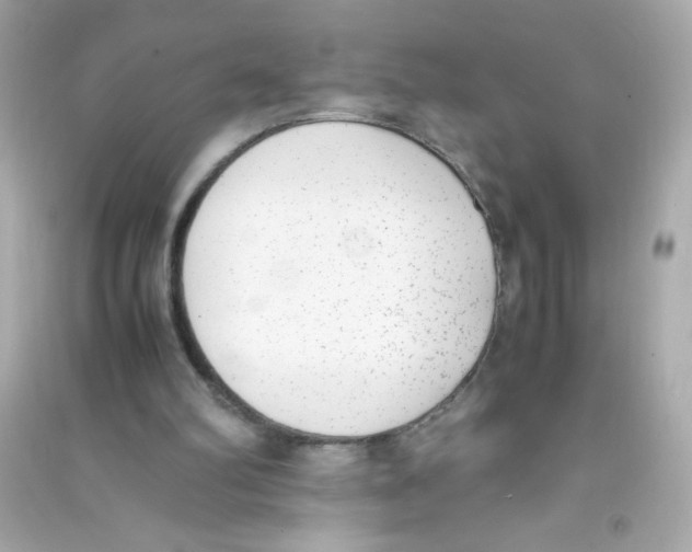 X0000090410102200708101928