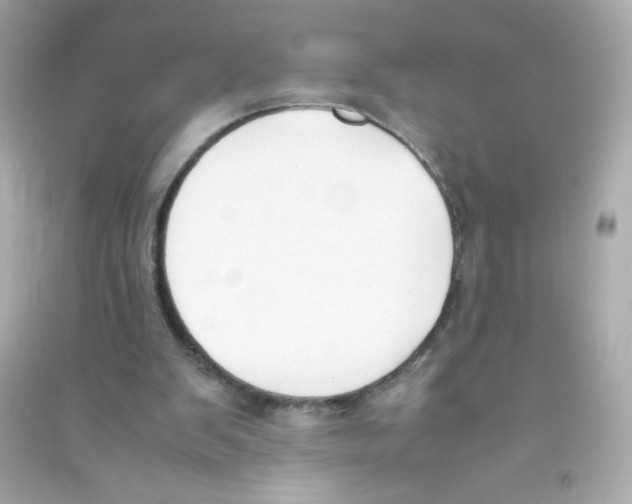 X0000090410103200708101928