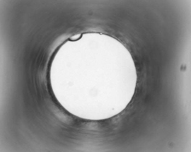 X0000090410104200708101928