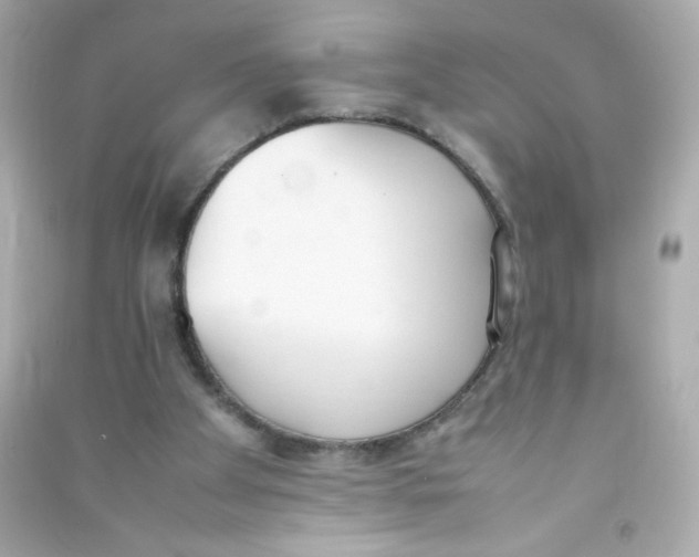 X0000090410105200708101928