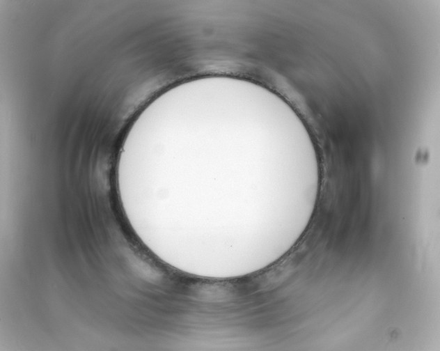 X0000090410106200708101928