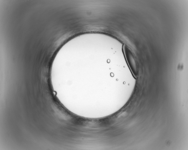 X0000090410107200708101928