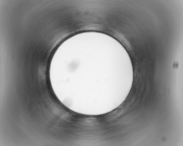 X0000090410108200708101928