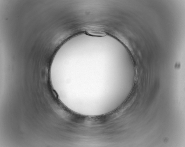 X0000090410109200708101928