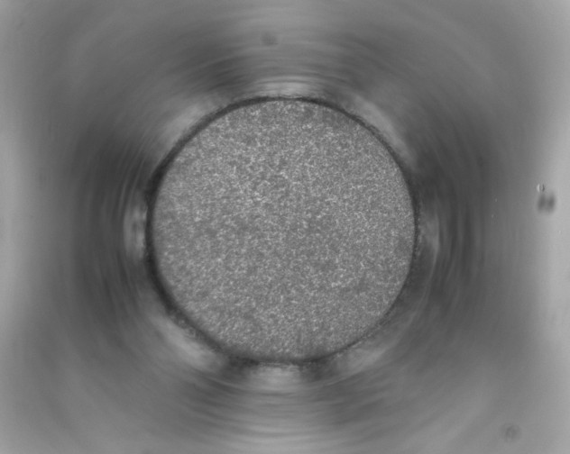 X0000090410110200708101928