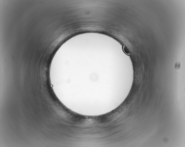 X0000090410111200708101928