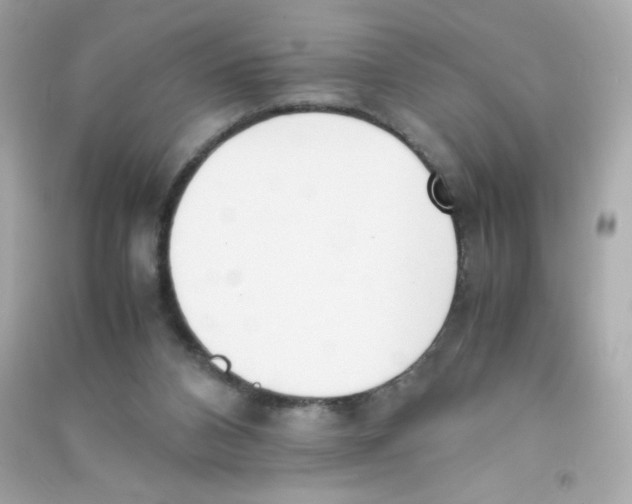 X0000090410112200708101928