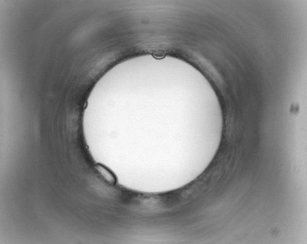 X0000090410113200708101928