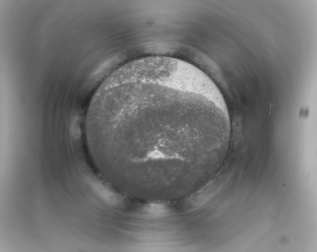 X0000090410114200708101928