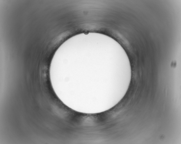 X0000090410115200708101928