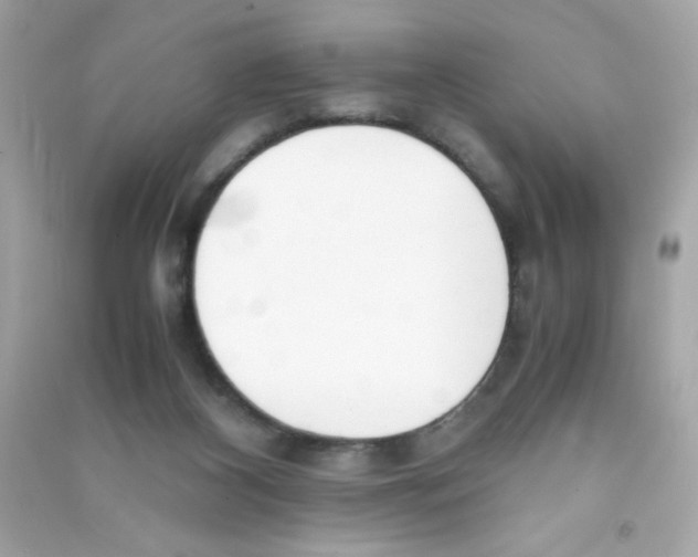 X0000090410116200708101928