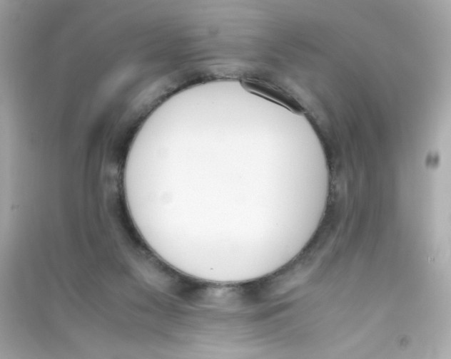 X0000090410117200708101928