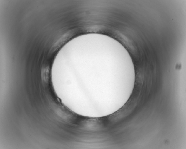 X0000090410118200708101928