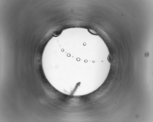 X0000090410119200708101928