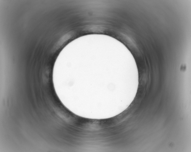 X0000090410120200708101928