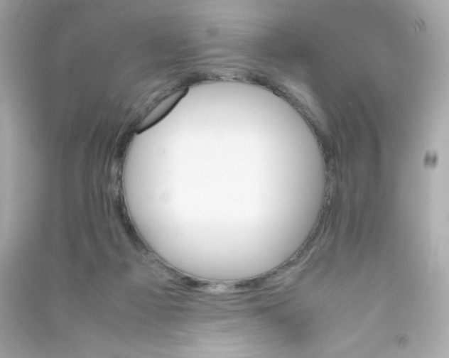 X0000090410121200708101928