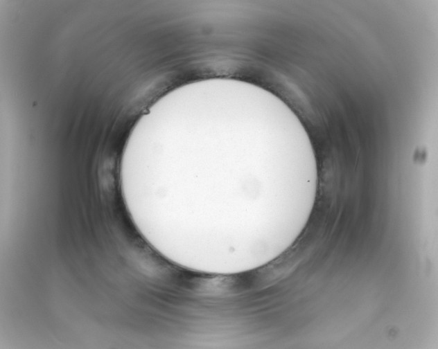 X0000090410122200708101928