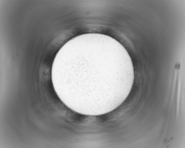 X0000090410123200708101928