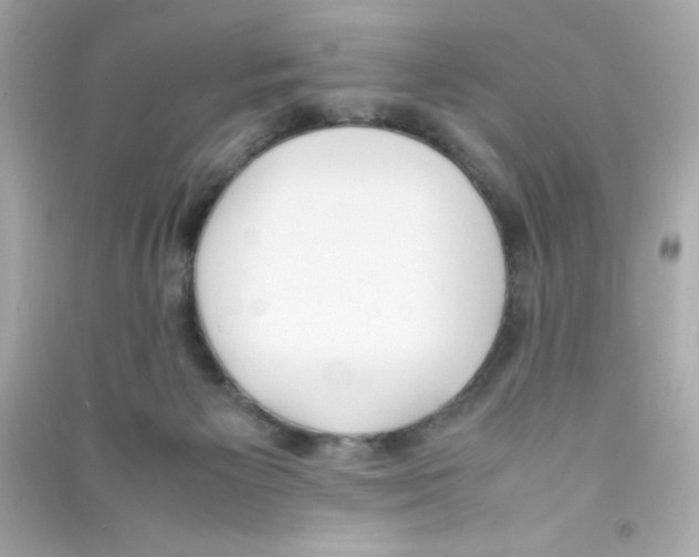 X0000090410125200708101928