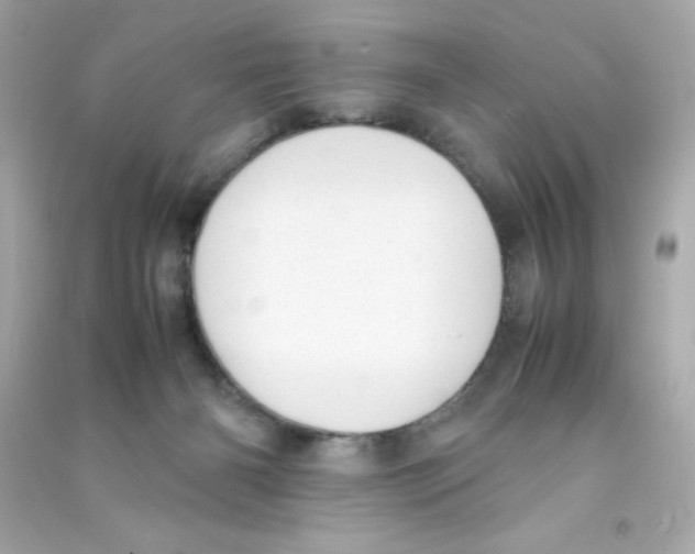 X0000090410126200708101928