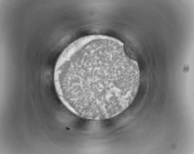 X0000090410127200708101928