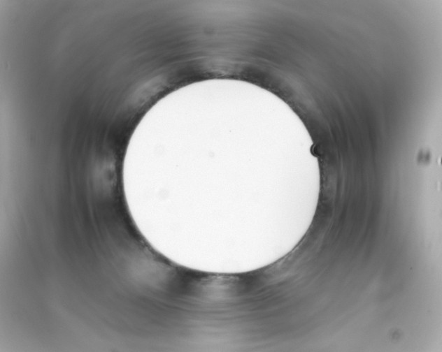 X0000090410128200708101928