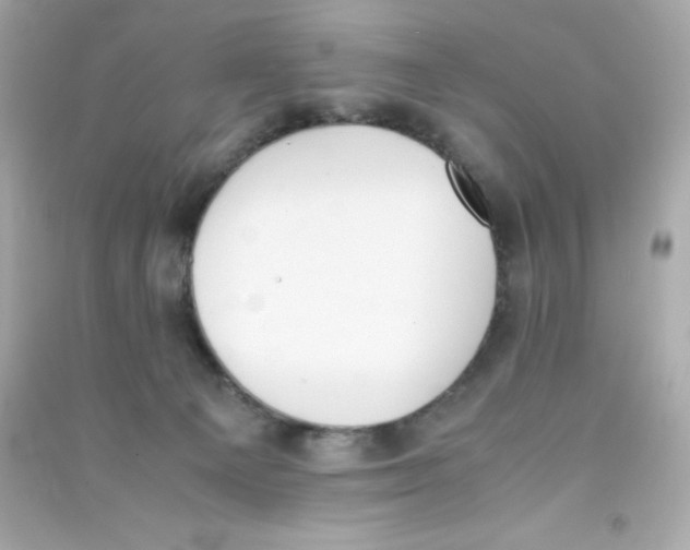 X0000090410129200708101928