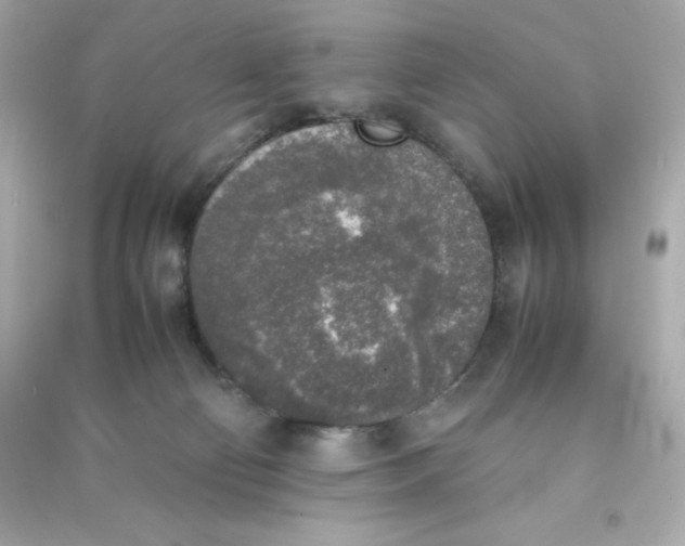 X0000090410130200708101928