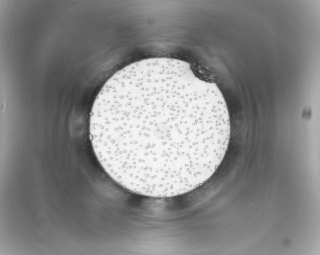 X0000090410131200708101928