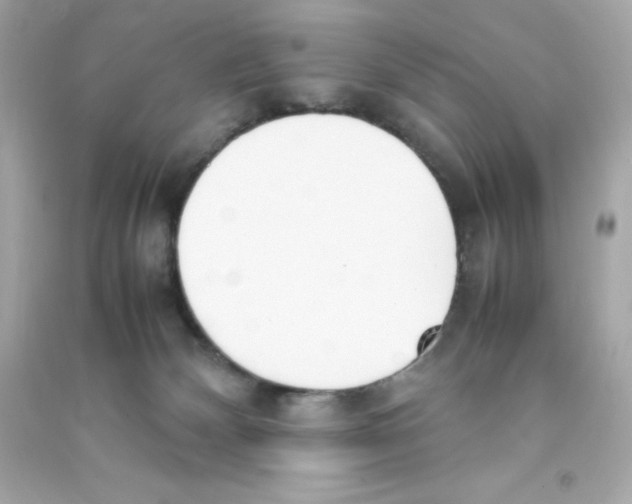 X0000090410132200708101928