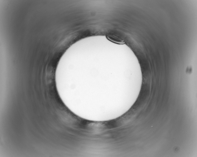 X0000090410133200708101928