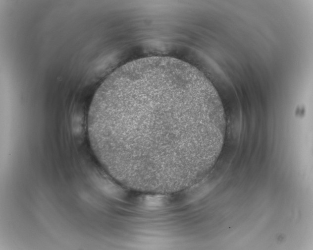 X0000090410134200708101928