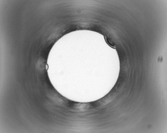 X0000090410135200708101928