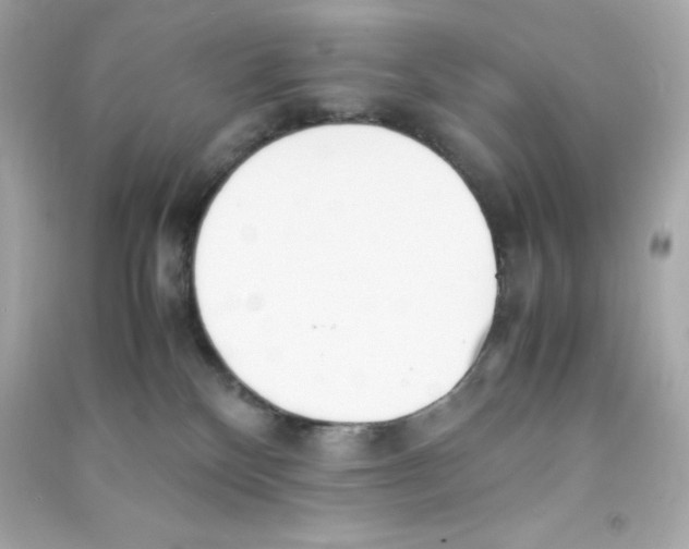 X0000090410136200708101928