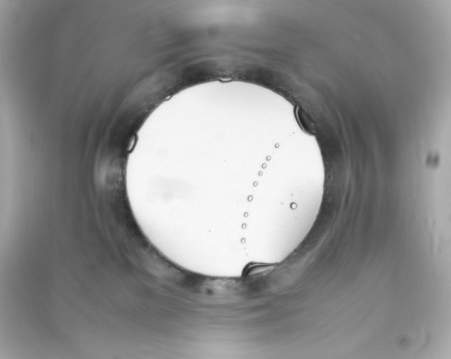 X0000090410137200708101928