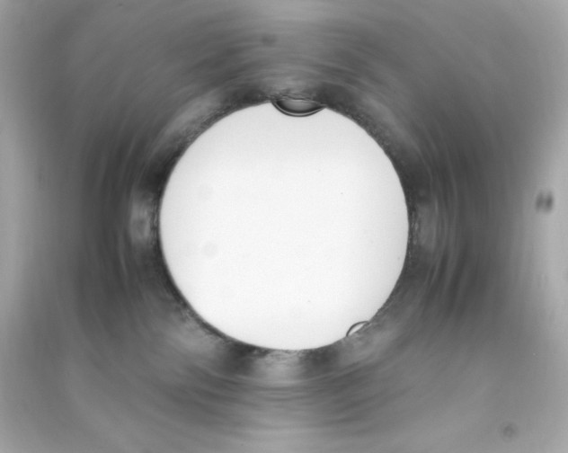 X0000090410138200708101928