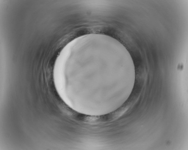 X0000090410139200708101928