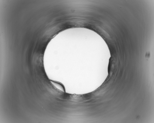 X0000090410141200708101928